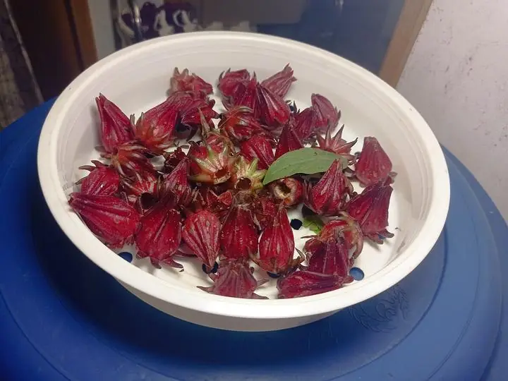 A bowl of dried deep-red jamaica (roselle) calyces.