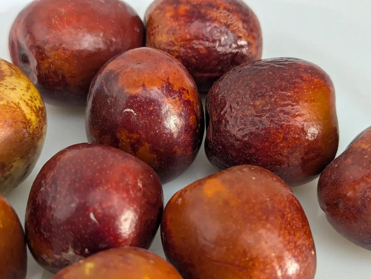 A pile of glossy mahogany-red jujube fruits.