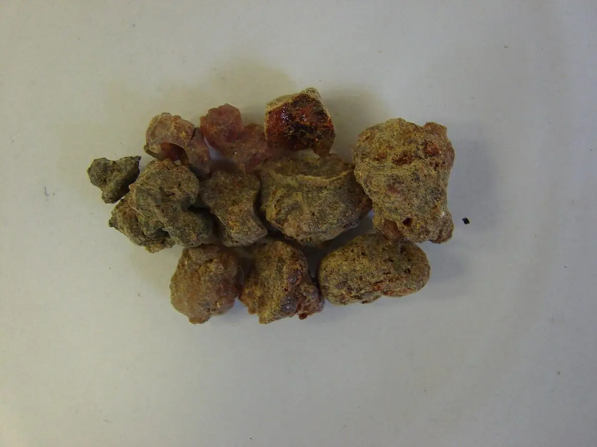 A small pile of rough reddish-brown myrrh resin lumps on a pale surface.